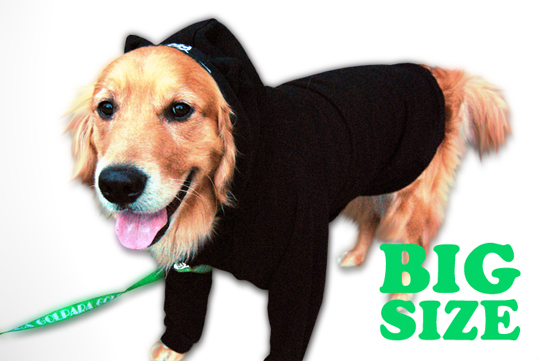 ǭ���ѡ�����