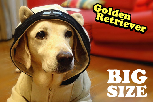 ǭ���ѡ�����