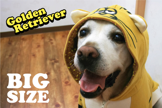 ǭ���ѡ�����